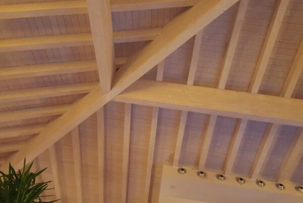 casa prefabbricata in legno carpenteria ticino svizzera