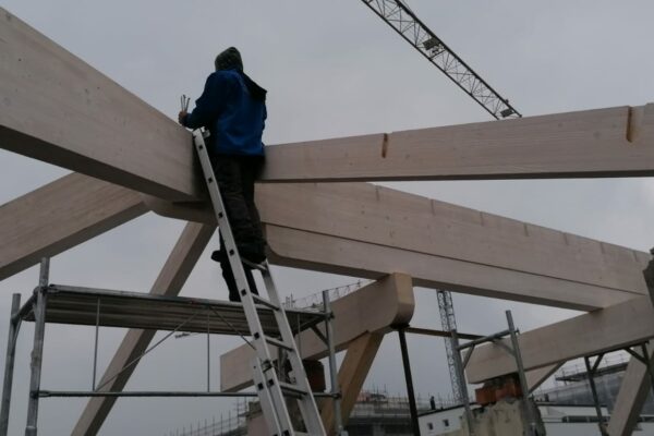 locarno stabile completo carpenteria tetto a falda travi in legno operaio